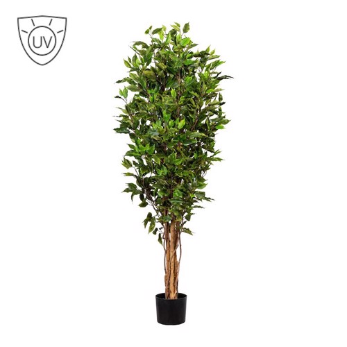 Ficus artificial Benjamina verde cu trunchi natural UV - 150 cm