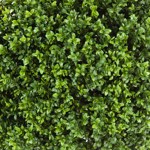 Buxus artificial decorativ Ø 80cm Boxwood in ghiveci - 95 cm