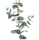 Ramura eucalipt artificial verde pudrat - 68 cm